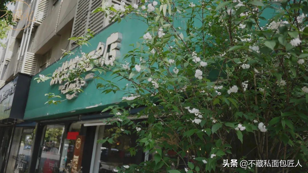 端午假期去哪里,端午假期去哪儿