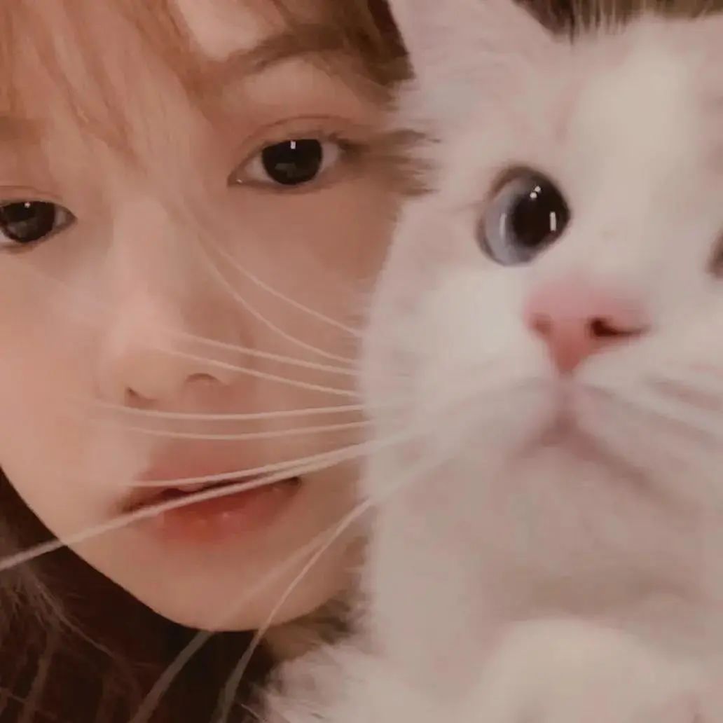 抖音热门头像大全,100张抖音热门头像全部给你找