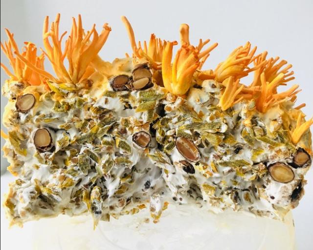 从广西“达妮”出落成“蛹虫草皇”