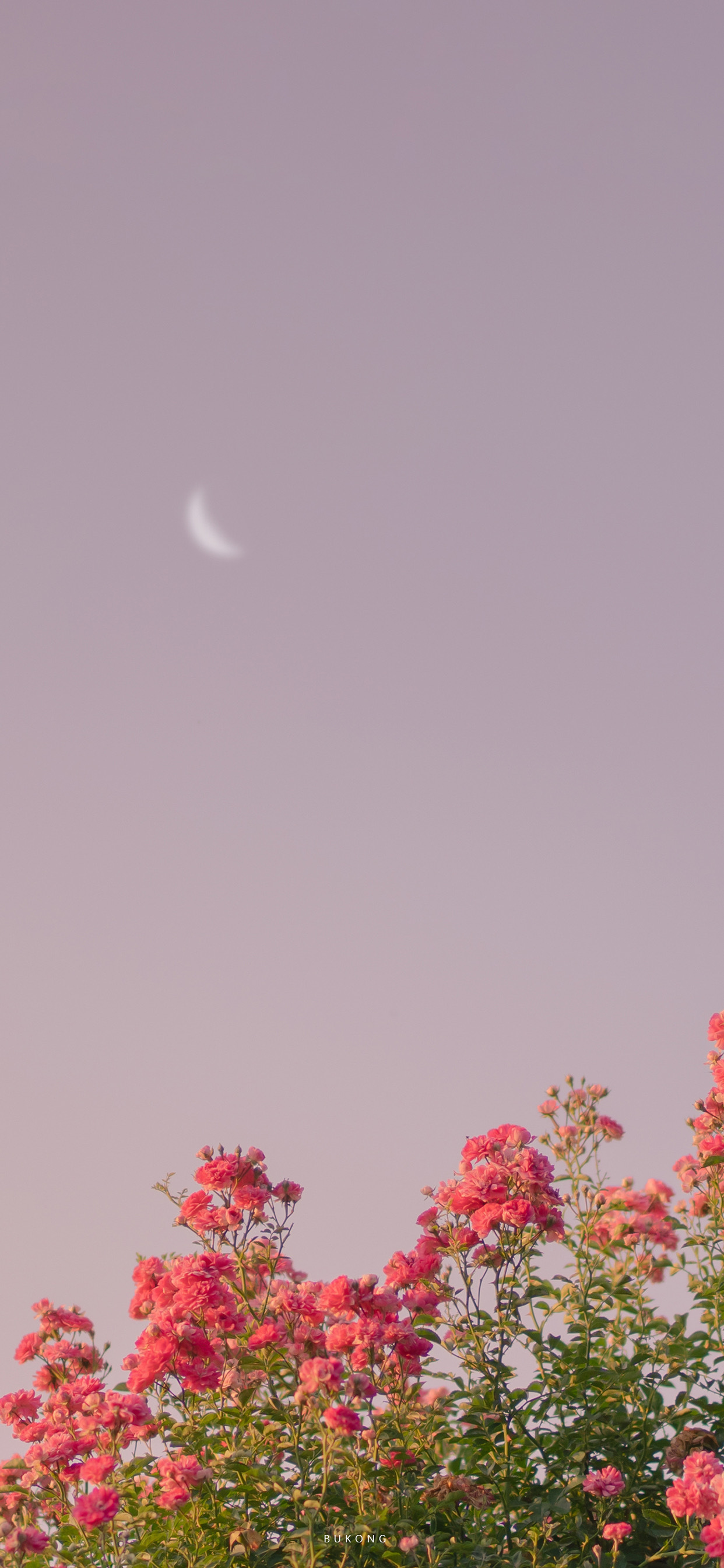 精选壁纸一组超好看的壁纸请签收,超好看的夏日清凉壁纸