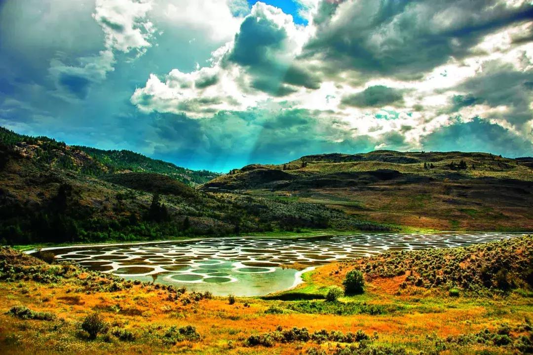 听说过斑马、斑点狗，你听说过斑点湖吗？