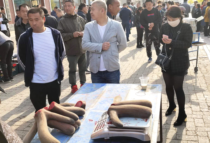 鹿产品集市,鹿乡鹿产品有哪些