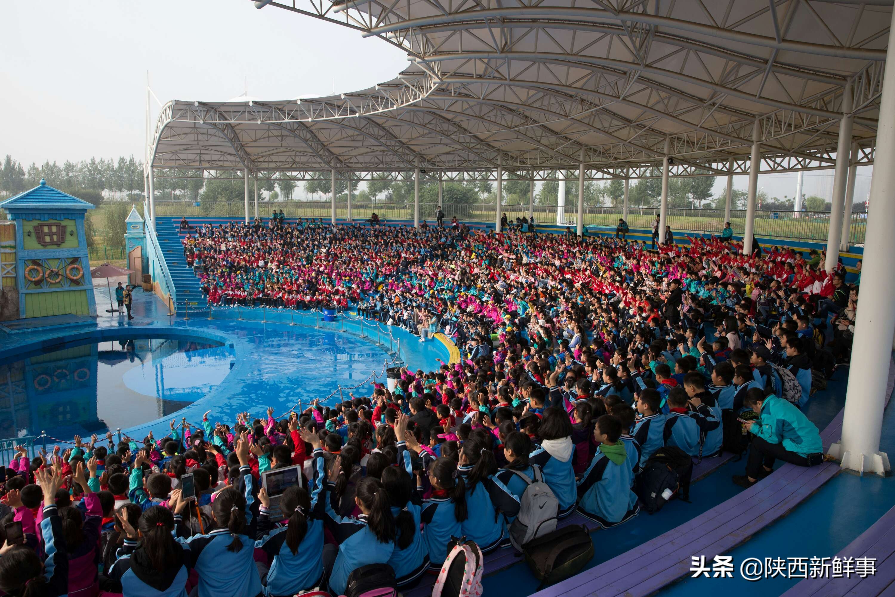 放飞海洋梦想感受丝路传奇手抄报,放飞海洋梦想感受丝路传奇研学题