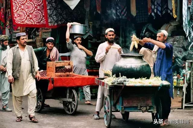 去了非洲才知道，人类才只是这个世界的过路者