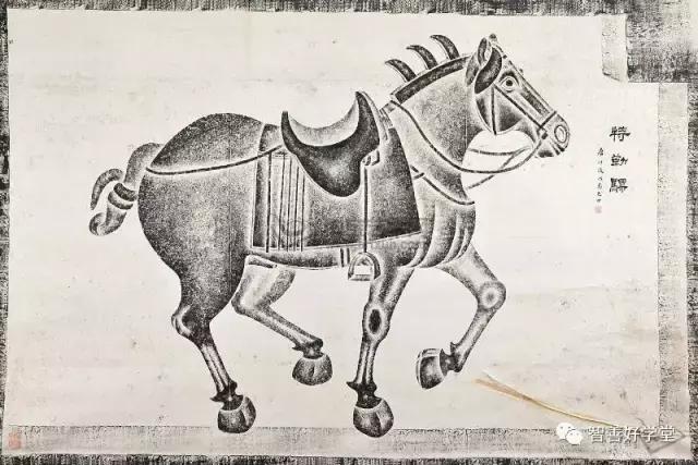 关于马的基本知识和方法,你知道吗关于马的一些小知识