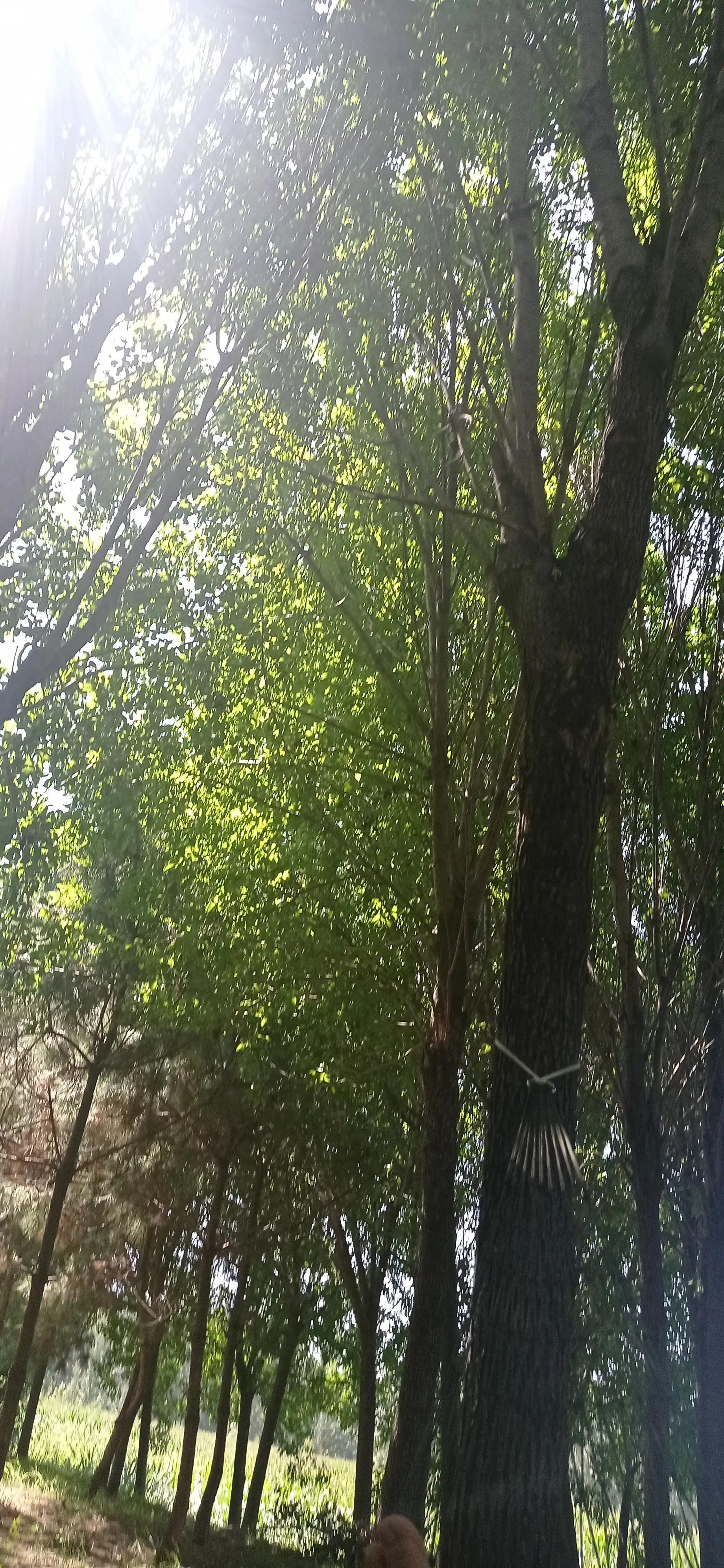 尿憋醒了排尿困难,排尿困难及尿潴留