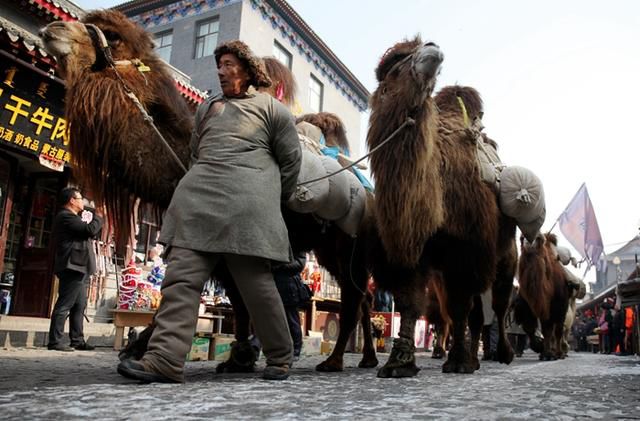 中原王朝的战马为何总是不够用？从万历皇帝的一笔千万白银借条说