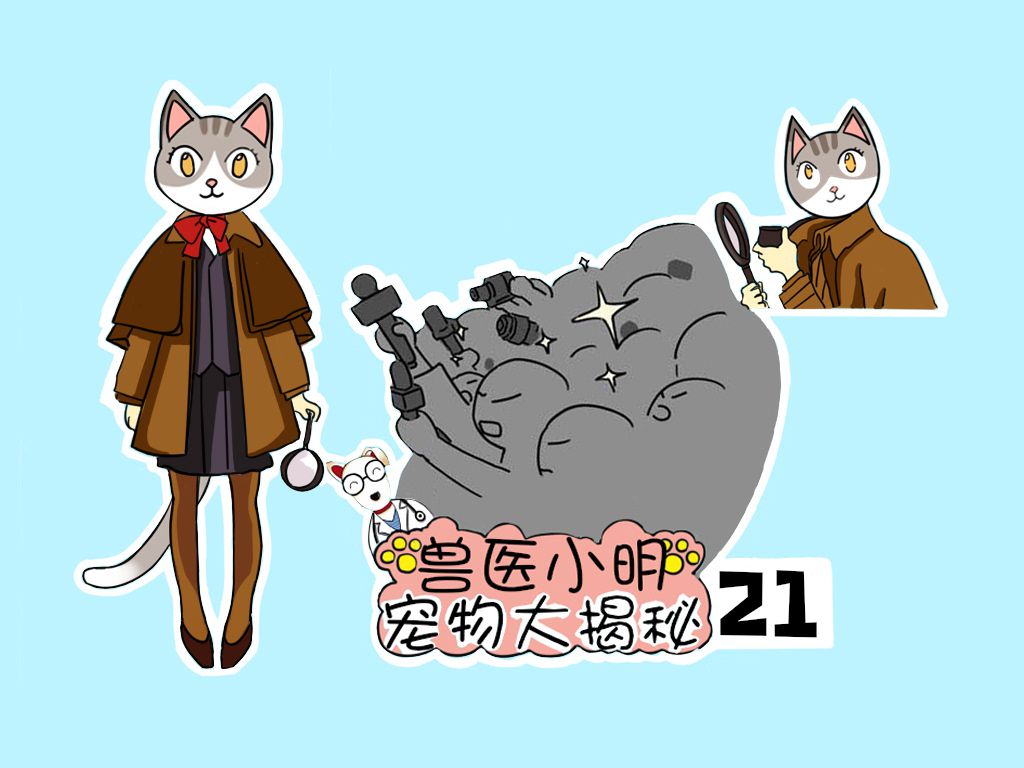 辟谣：猫咪发情也会来例假？出血很可能是身体不适的信号