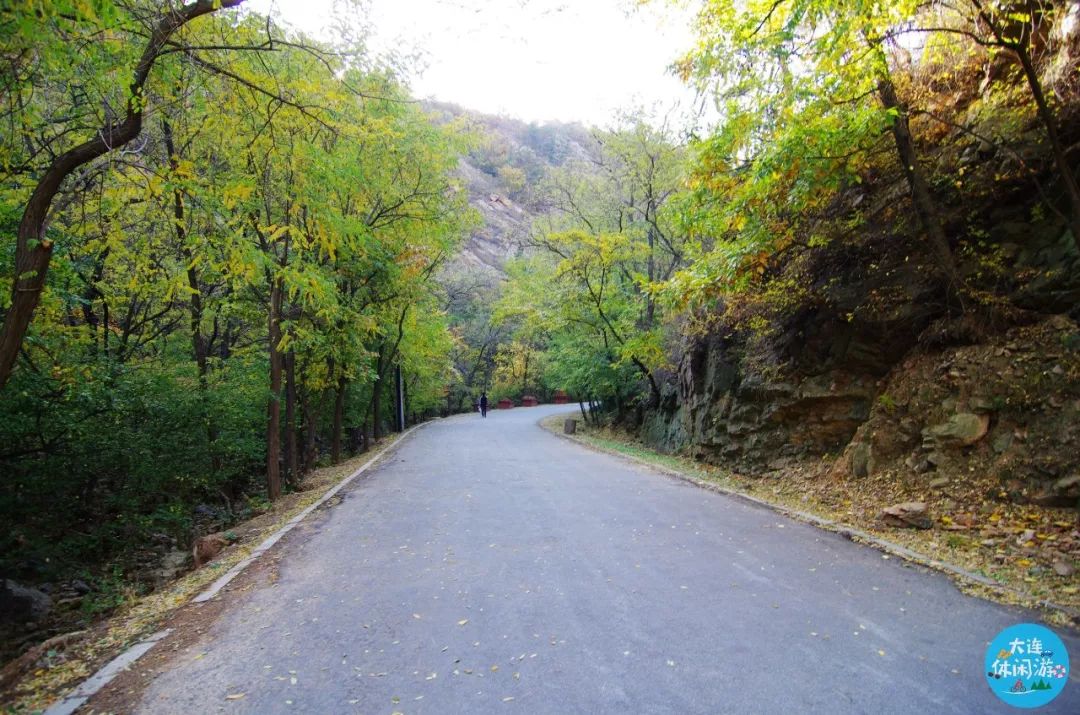 大连森林花海,大连花海旅游攻略