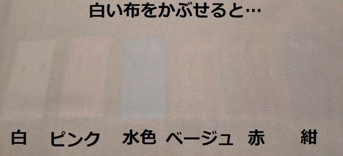 日本博主总结各种颜色内衣的透视度，最容易透的竟然是这种颜色！