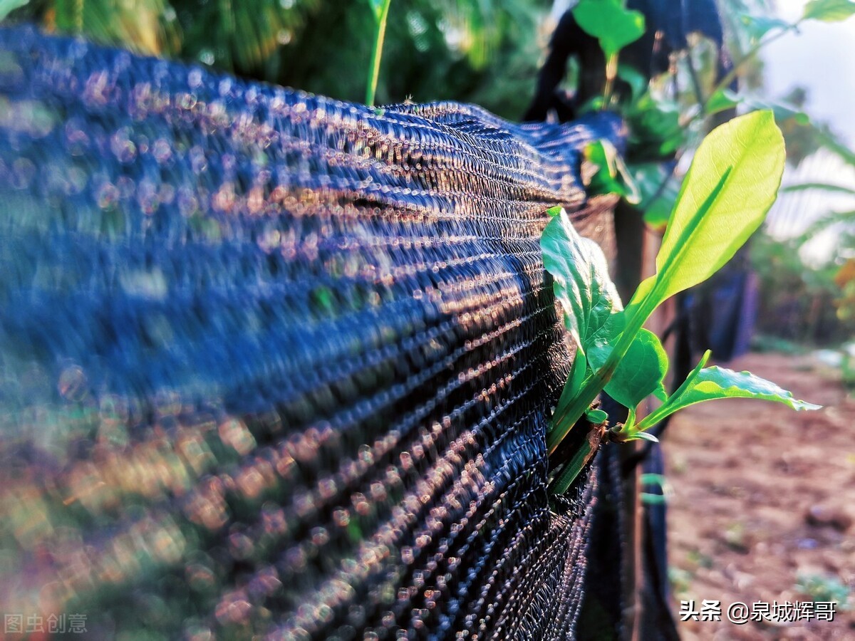 从学渣到年入百万的创业明星，抓住机遇，专科生也可以逆袭
