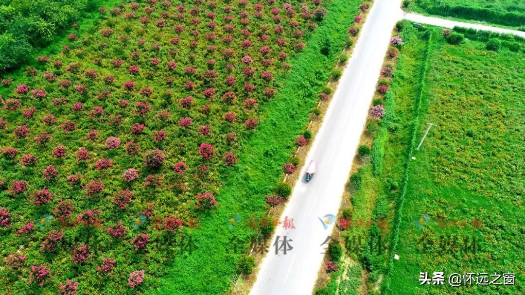淮北市最值得去的旅游景点,淮北旅游区10大景点