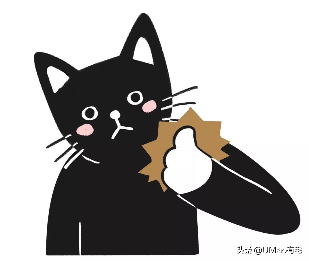 胖橘猫和黑猫,橘猫黑猫白猫哪个最可爱