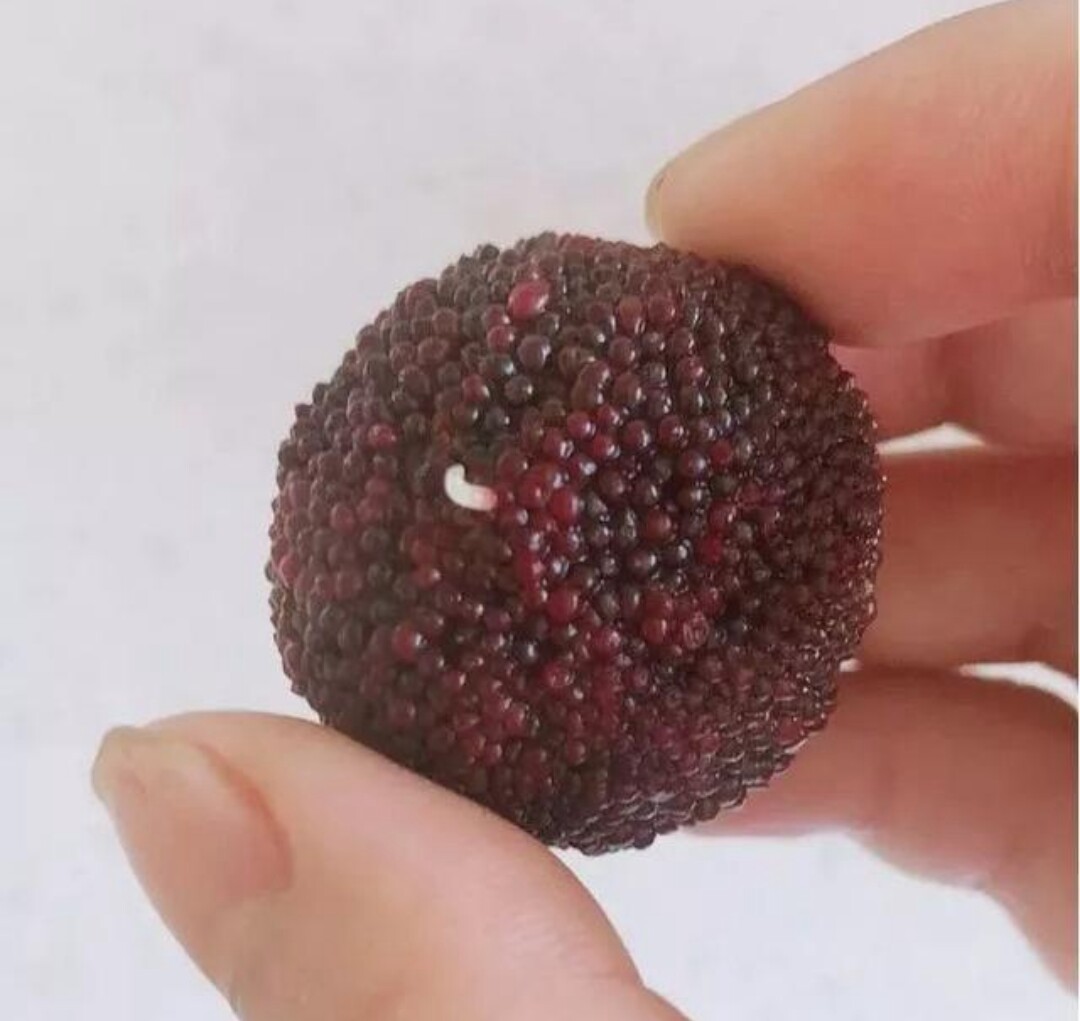 杨梅有农药味道怎么洗,杨梅里面的虫子真的能洗干净吗