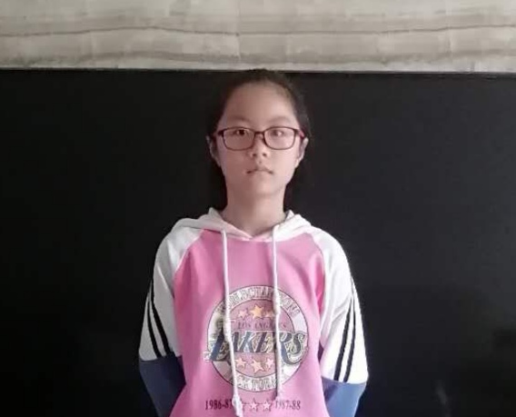 优秀作文抄写190字,优秀家教家风作文