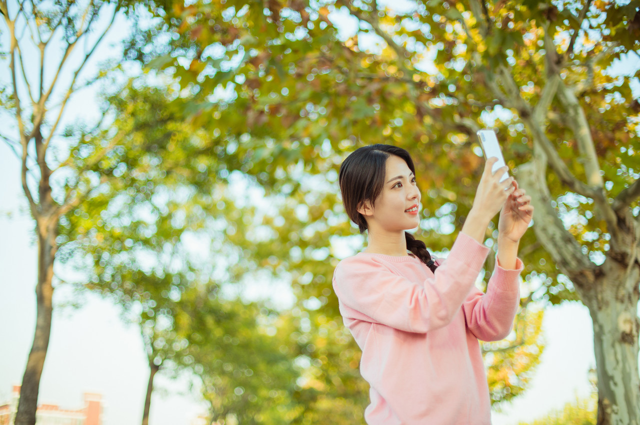 会计专硕mpacc研究生读哪所学校好,工作几年考会计学研究生mpacc
