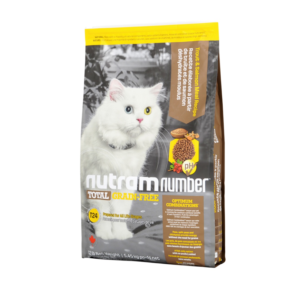 最适合猫猫吃的猫粮,安吉拉猫吃什么猫粮好