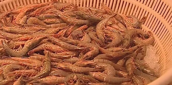 心痛的感觉！八种海鲜暂别啦