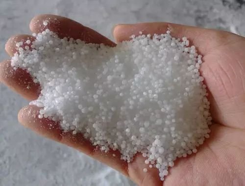 绿萝与铜钱草四季养护,怎么让铜钱草长得和绿萝一样