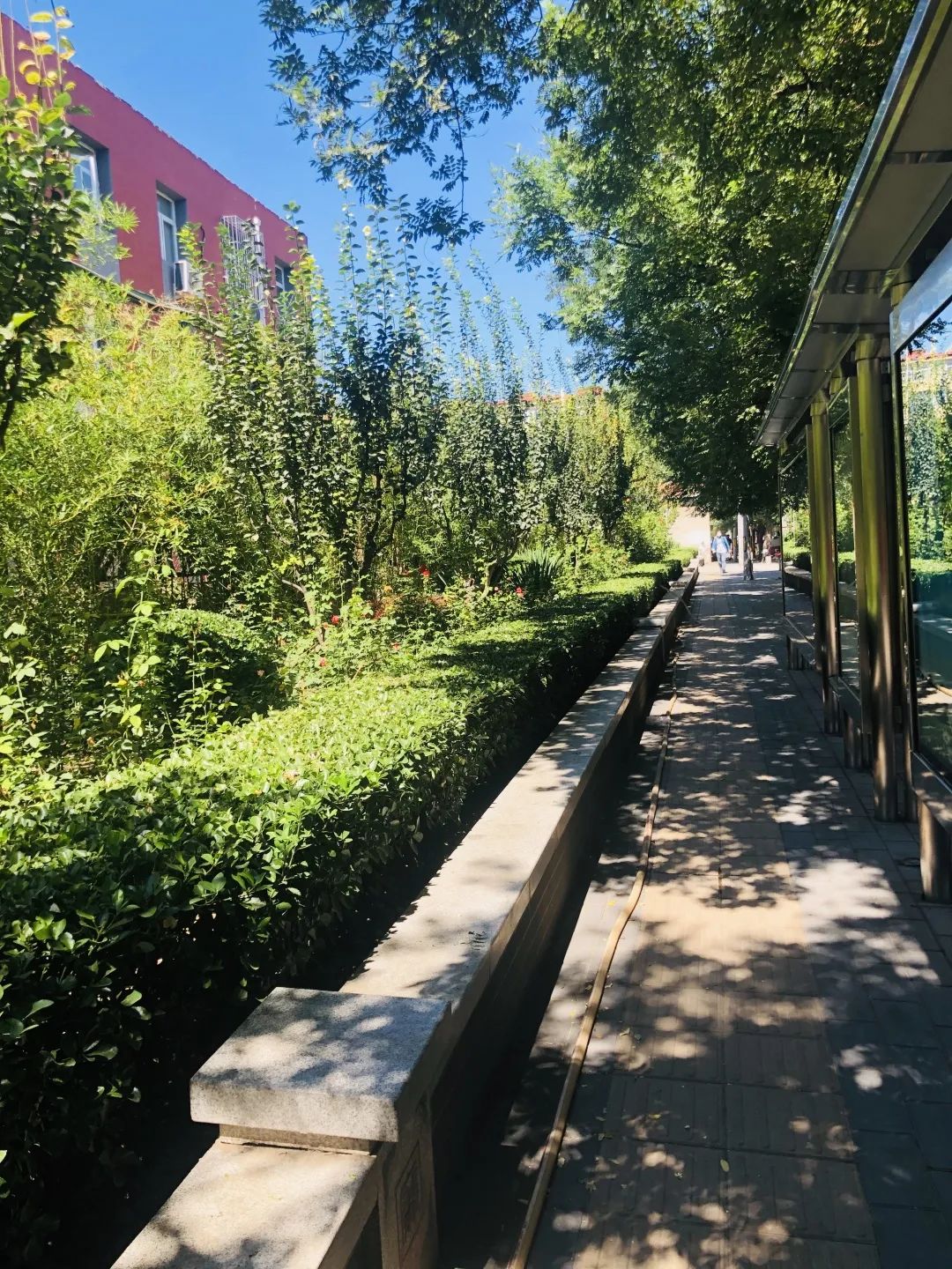 朝阳街巷遇见美好