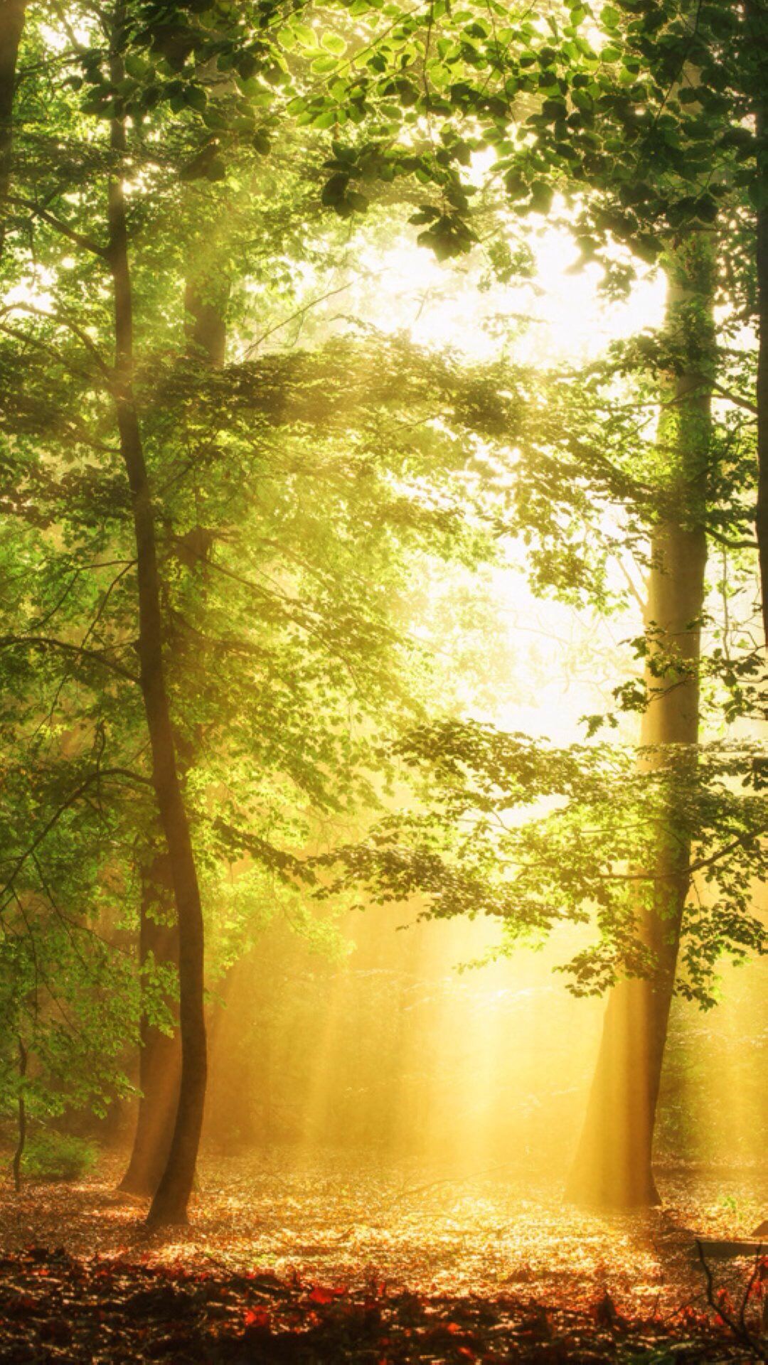 1920超高清手机自然风景壁纸,壁纸超清4k手机壁纸简单干净风景