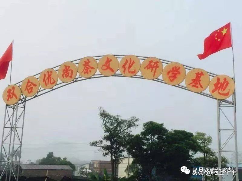 鹤山双好茶韵农耕研学基地值不值,江门茶文化研学基地