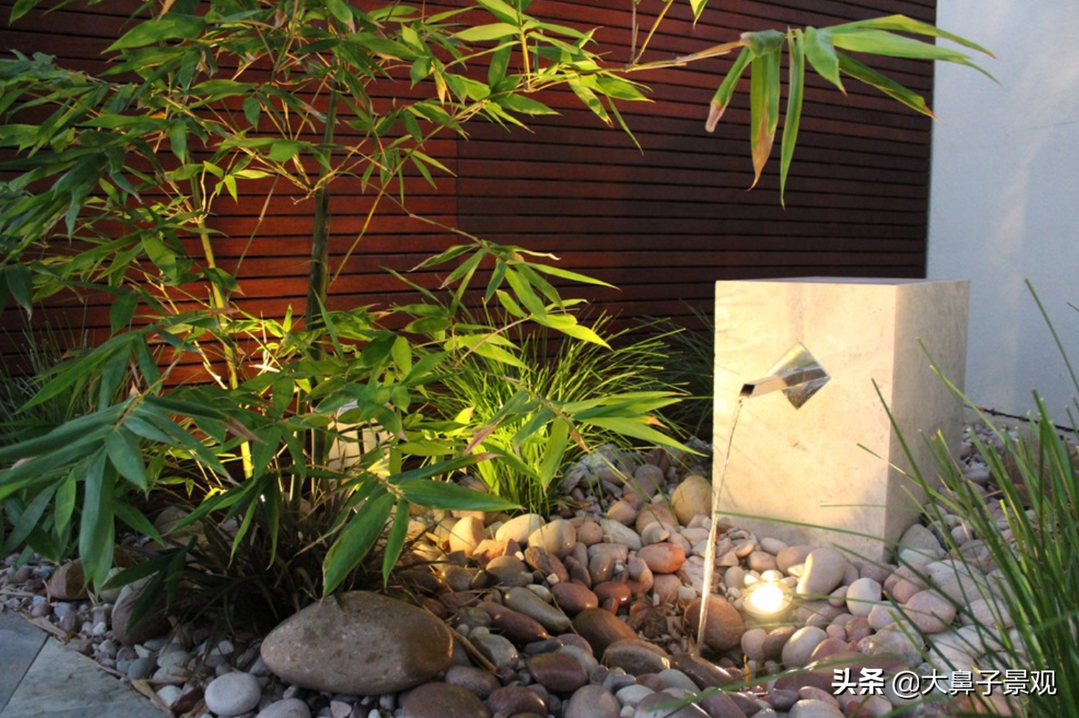 吉利辟邪的植物盆栽有哪些,可辟邪的盆栽树种有哪些