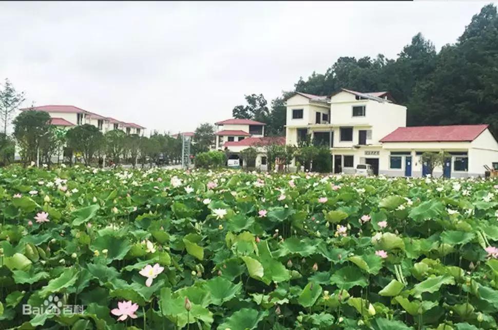 今天开挂了,安顺最新发展消息