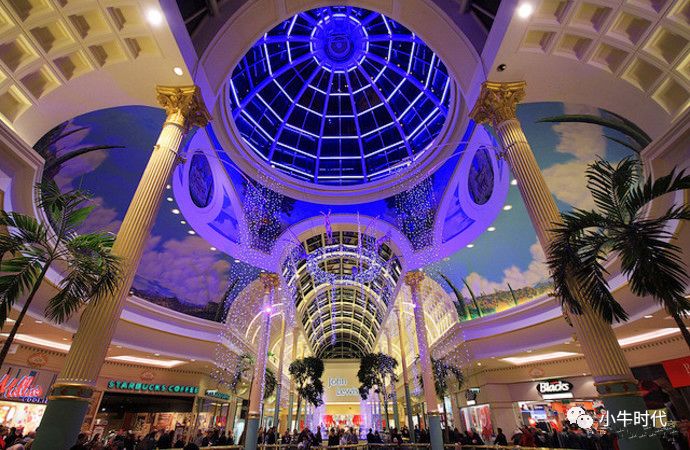 耐克足球夏令营,耐克范佩西