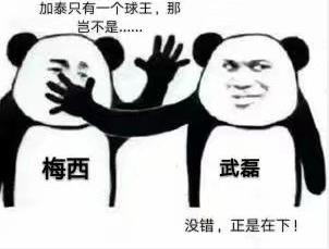 梅西评价武磊的50个字,梅西是怎么评价武磊的