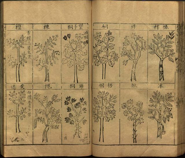 李时珍与本草纲目ppt课件,神农本草经正版李时珍书籍