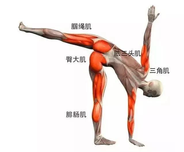 乳房下垂是什么原因导致的,什么样的办法避免乳房下垂