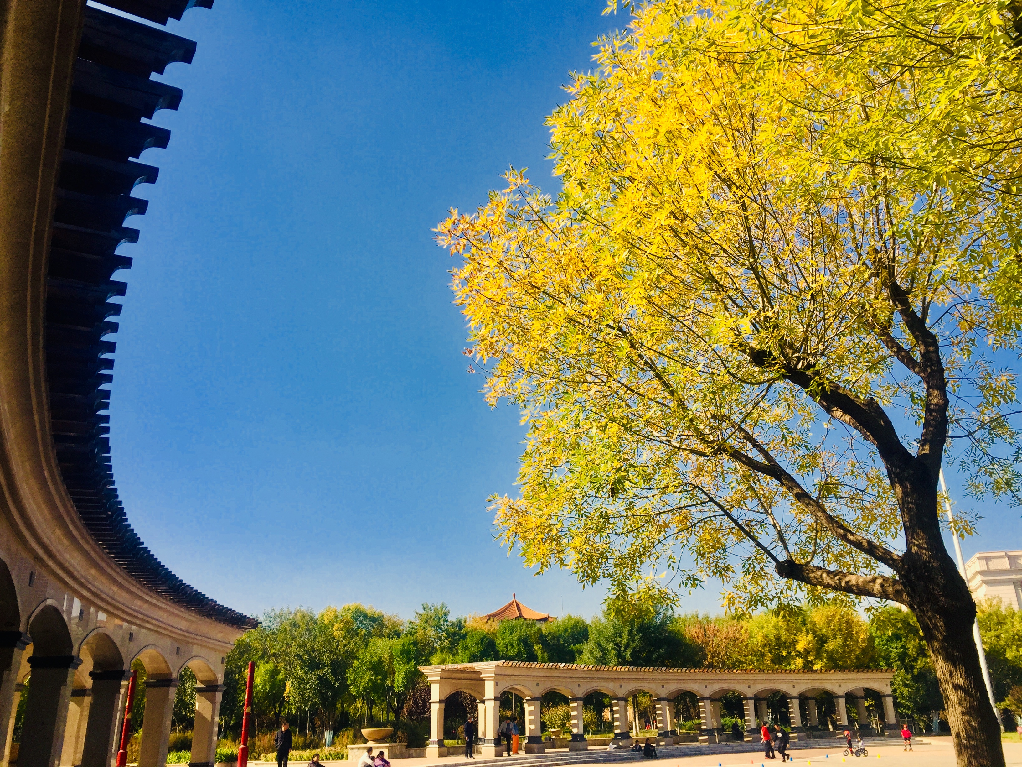 天津森林公园儿童乐园项目介绍,滨海新区适合带孩子玩的公园