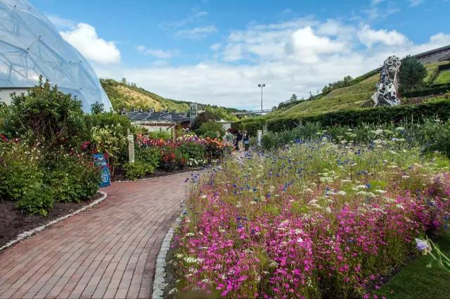 矿坑改造最美公园,矿坑改造湿地公园视频