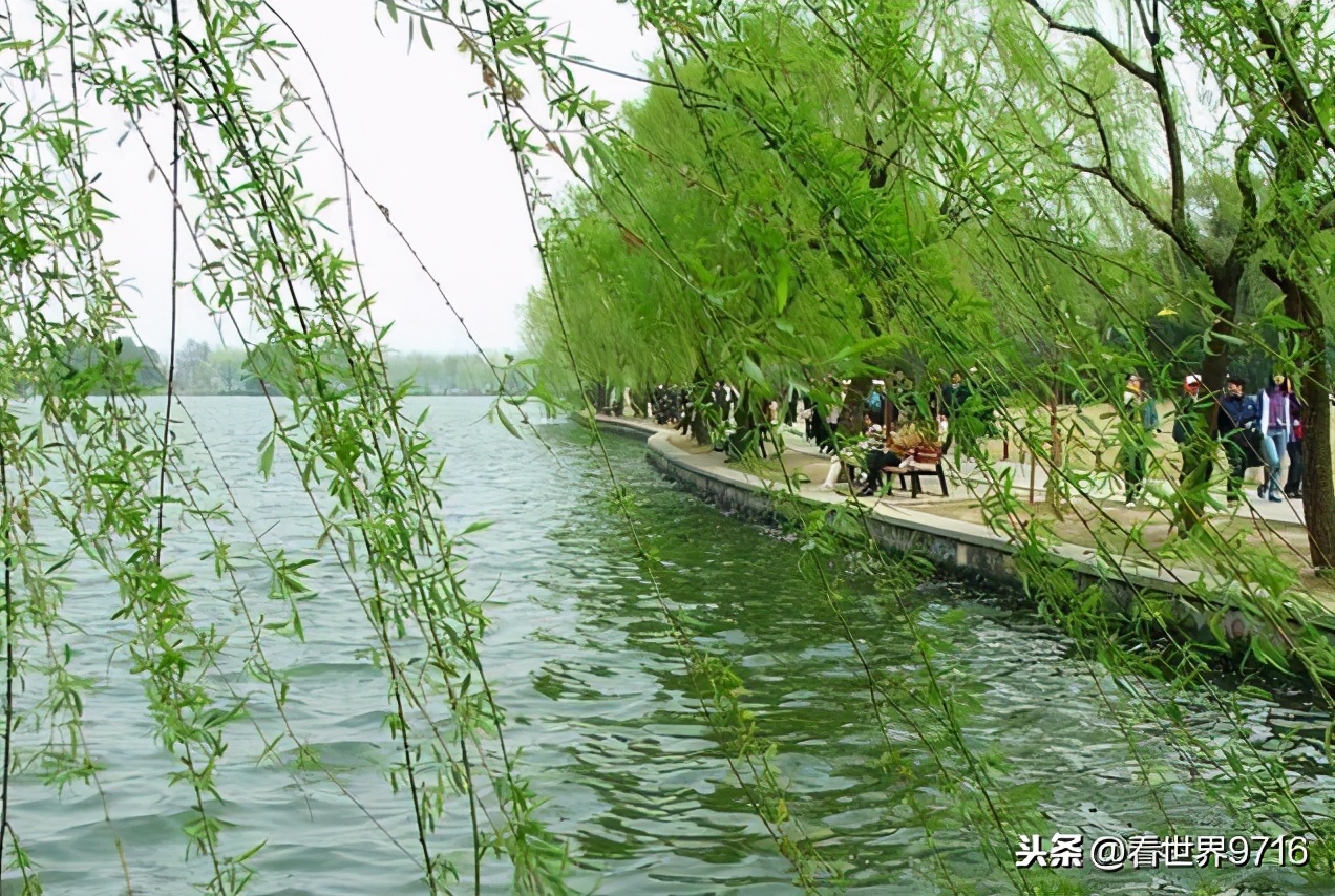 杭州西湖柳浪闻莺图片,杭州西湖风景名胜区柳浪闻莺