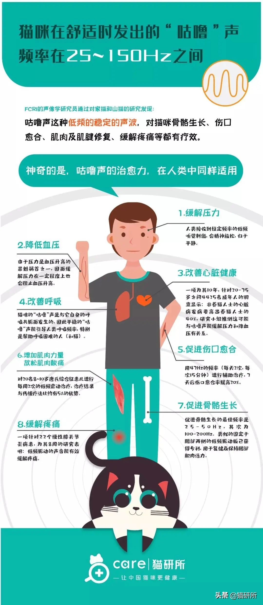 养猫可以让你变得更健康吗,老人养猫为什么比较乖玄学