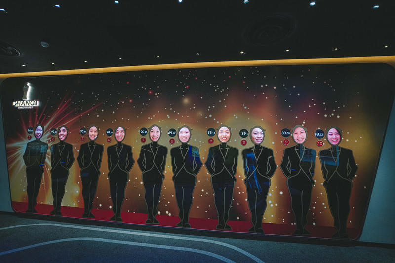 一人一猫环游,一人一猫旅行