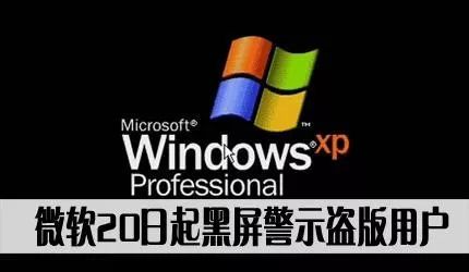 wps与微软office功能差异,wps与微软office份额
