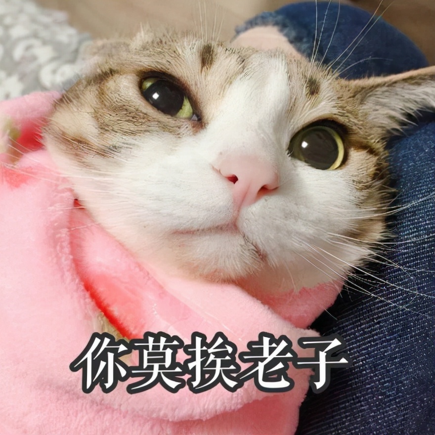 圣母白莲花不是男人最爱！男人不会告诉你，会“作”的女人更好命