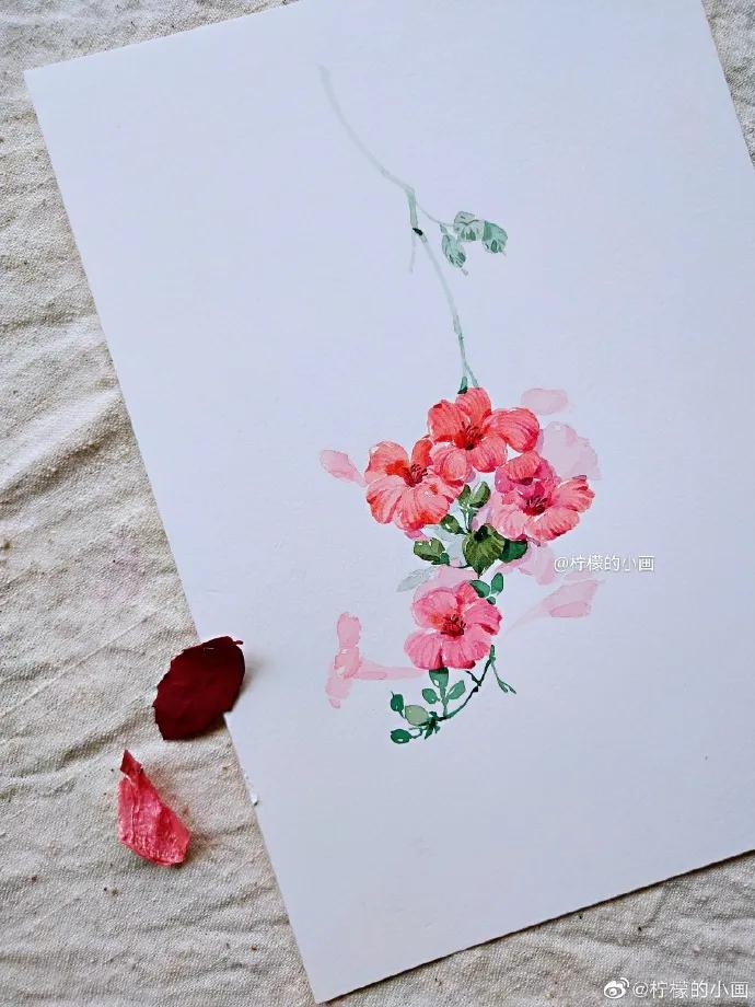 分享一组好看的小清新水彩插画,不来看看简单水彩小插画的教程吗