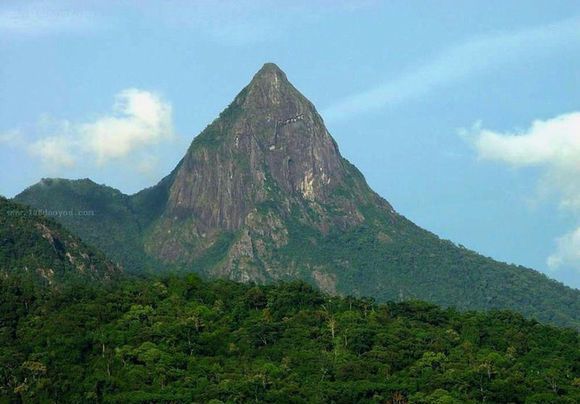 全国十大森林公园,中国十大森林公园