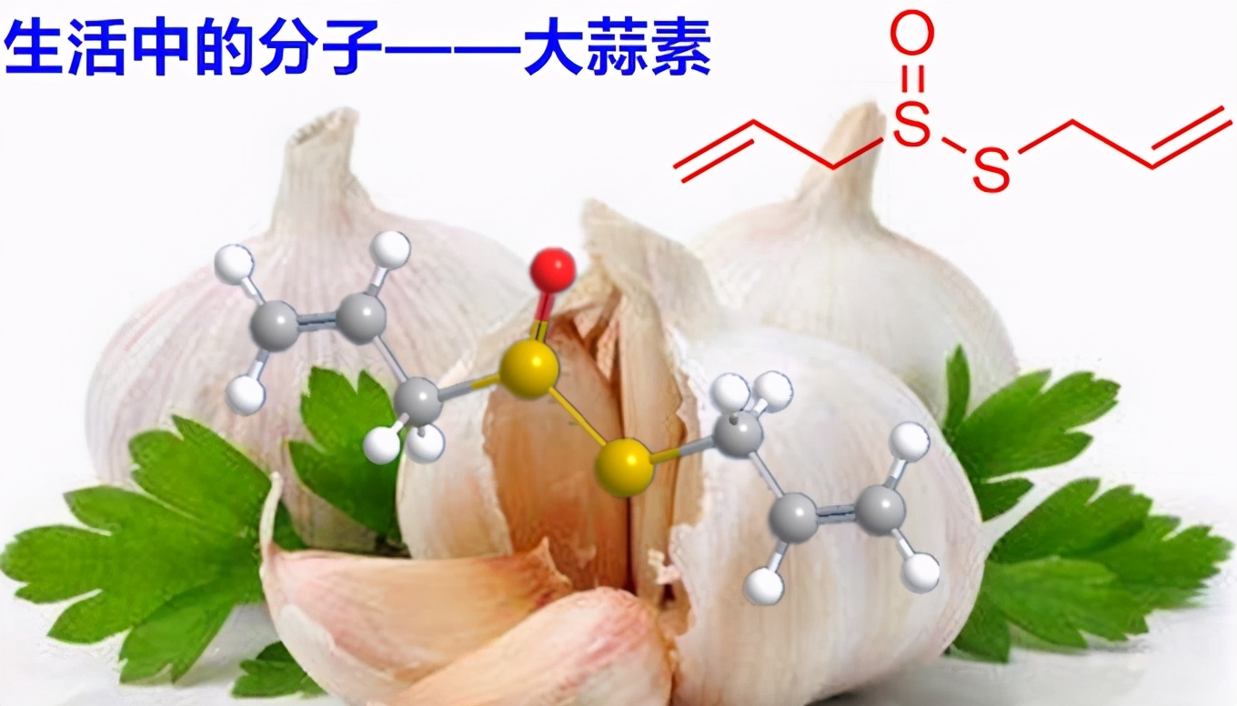 为什么吃素后闻肉臭,吃肉有臭味是什么因果