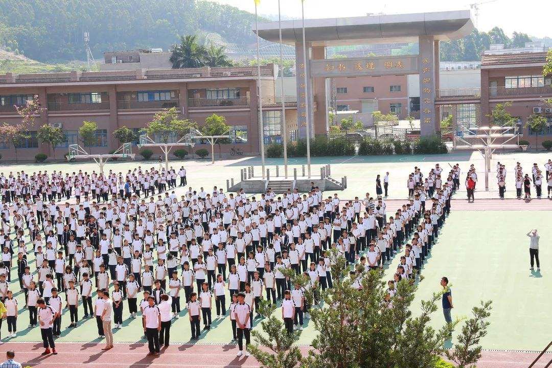 东莞公办好学校,东莞最好的复学学校