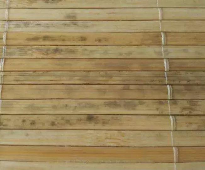 凉席怎么去除霉点,凉席上有霉点怎么洗