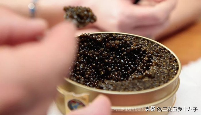 鱼子酱是三大奢侈品美食吗,世界三大美食鱼子酱