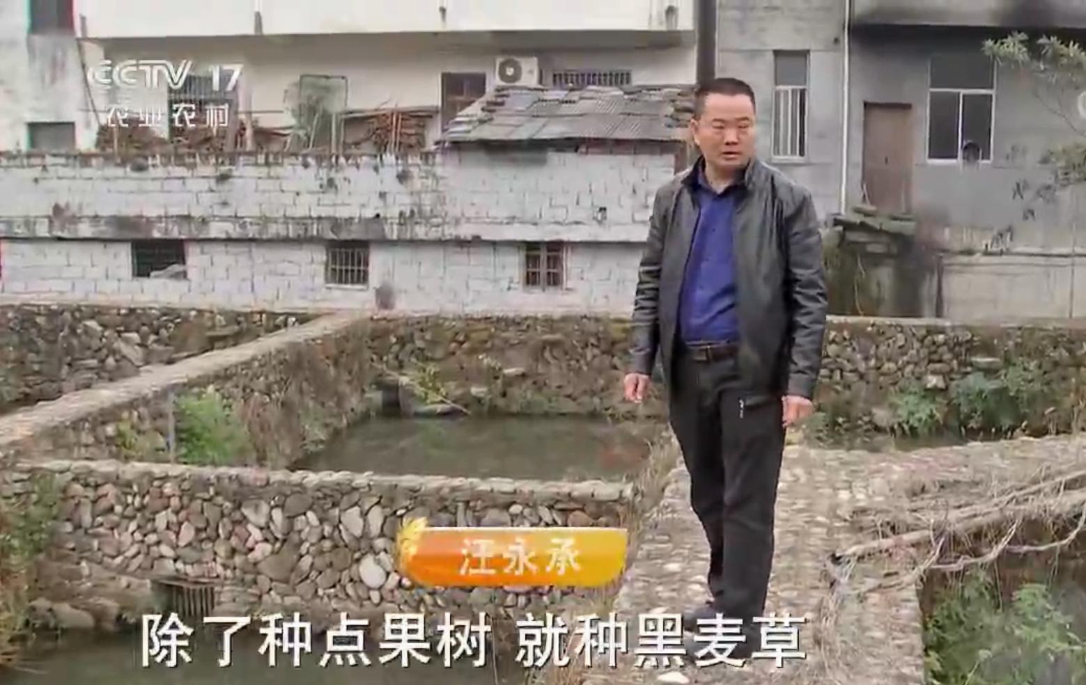 40岁大叔放弃500万产业养鱼,45岁养鱼年入1000万