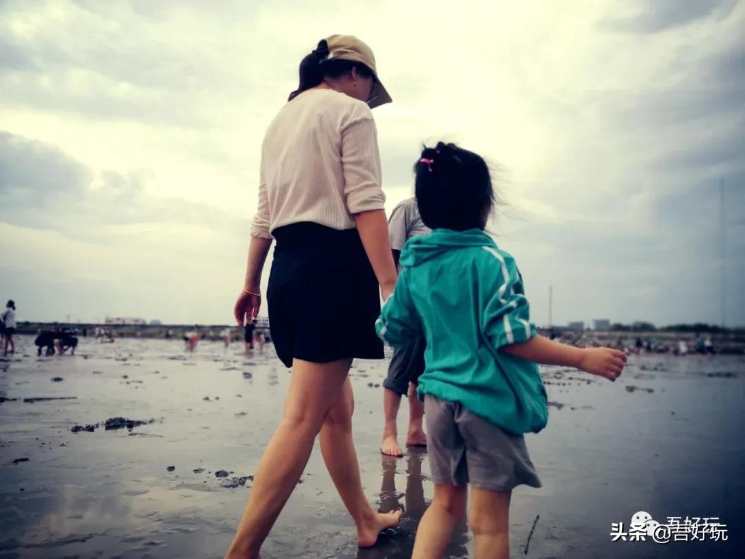 遛娃|南汇新城海滩，魔都夏日必打卡？