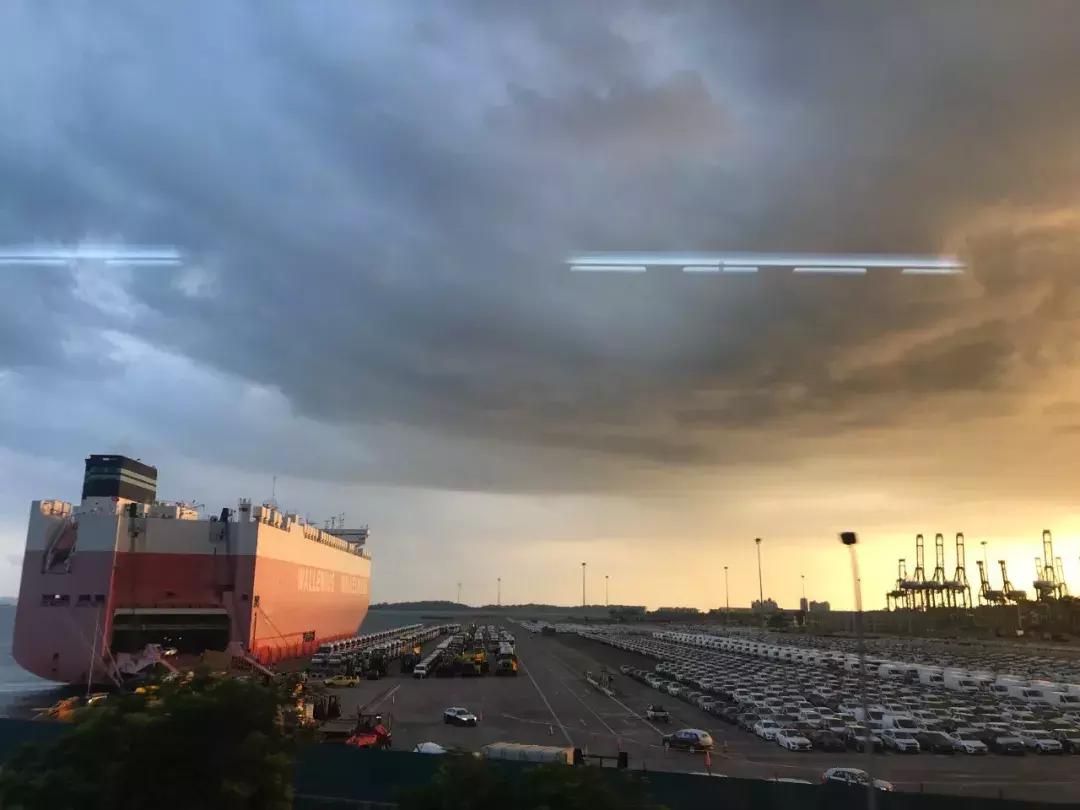 “南洋”见闻略：开怀有自新加坡