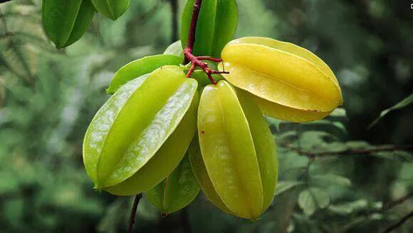 成都北海涠洲岛自由行,成都到涠洲岛攻略