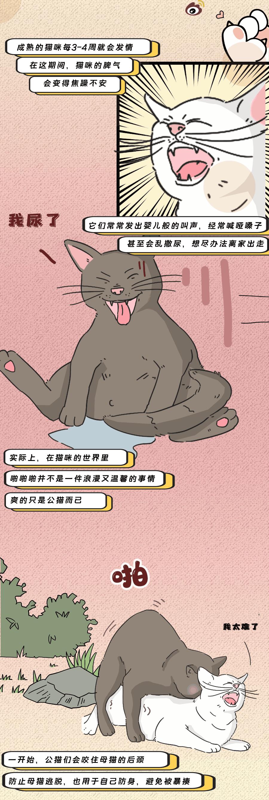 那些羞羞的事：动物是如何啪啪啪的？